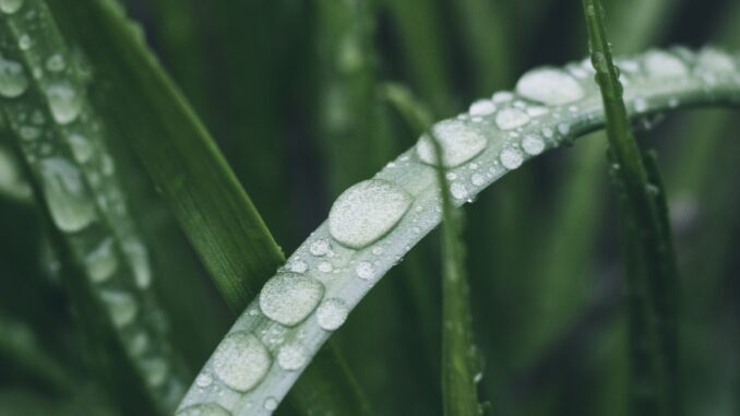 dhruv-kumar-jOcna3Qhx9I-unsplash