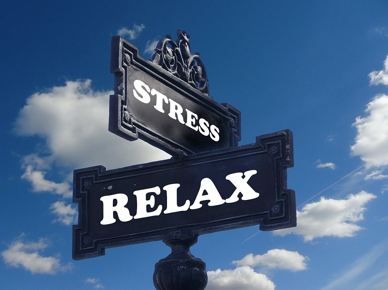 Which of The Following Statements About Stress Management is True? Which of The Following Statements About Stress Management is True?