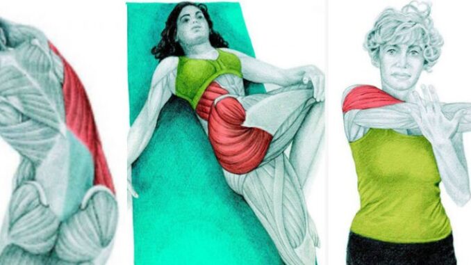 How-To-Lower-Your-Risk-Of-Pain-And-Injuries-With.jpg