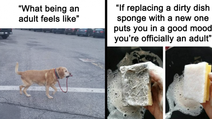 50-Hilarious-Adulting-Memes-That-Hit-Little-Too-Close-To.png