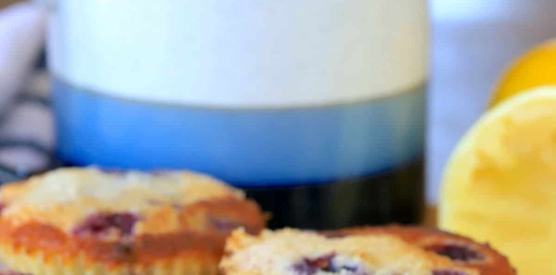 AIR FRYER LOW CARB LEMON BLUEBERRY MUFFINS AIR FRYER LOW CARB LEMON BLUEBERRY MUFFINS