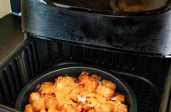 Cosori Air Fryer Review