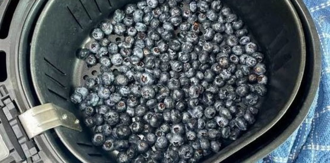 Air Fryer Dehydrated Blueberries Air Fryer Dehydrated Blueberries