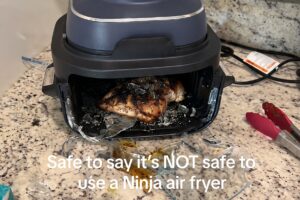 A Cautionary Tale: Why a Viral Ninja Crispi Glass Air Fryer Shattered on Second Use